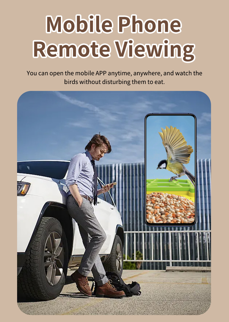 STLFSmart Kuş Besleyici HD Kam - Power Outdoor incelemesi ve fiyatı